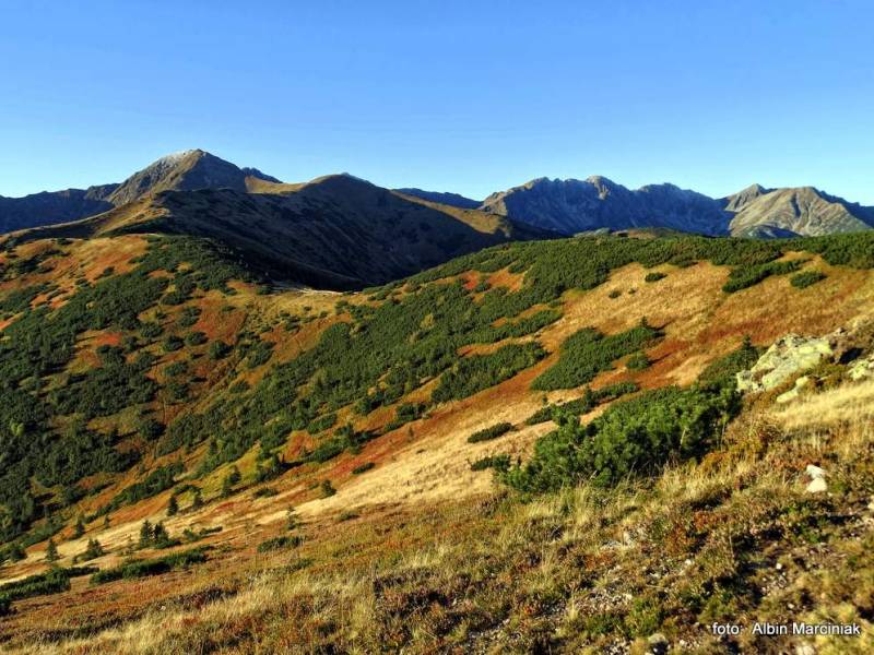 Tatry Zachodnie - Chochołowska - Wołowiec - Kończysty - Siwa Polana
